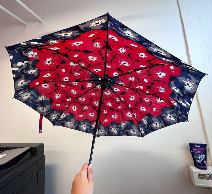 Deštník DP331 - FPrice